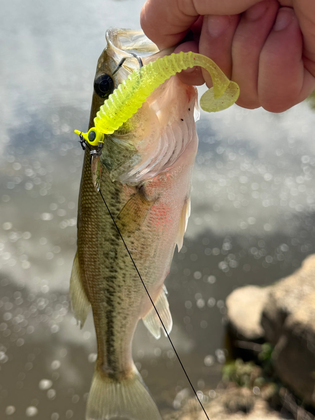3" Paddle Tail Grub (3 Pack)