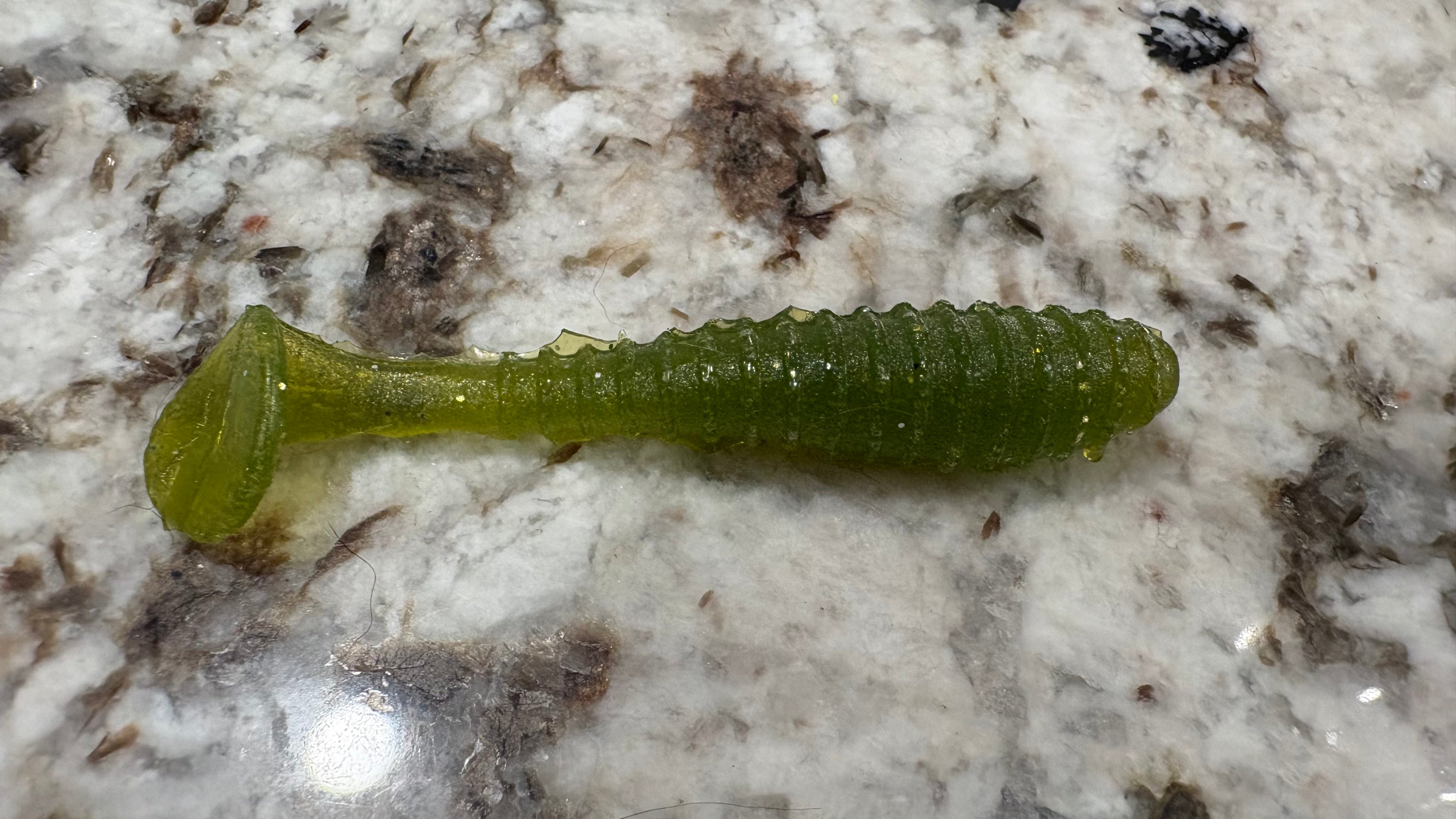 3" Paddle Tail Grub (3 Pack)