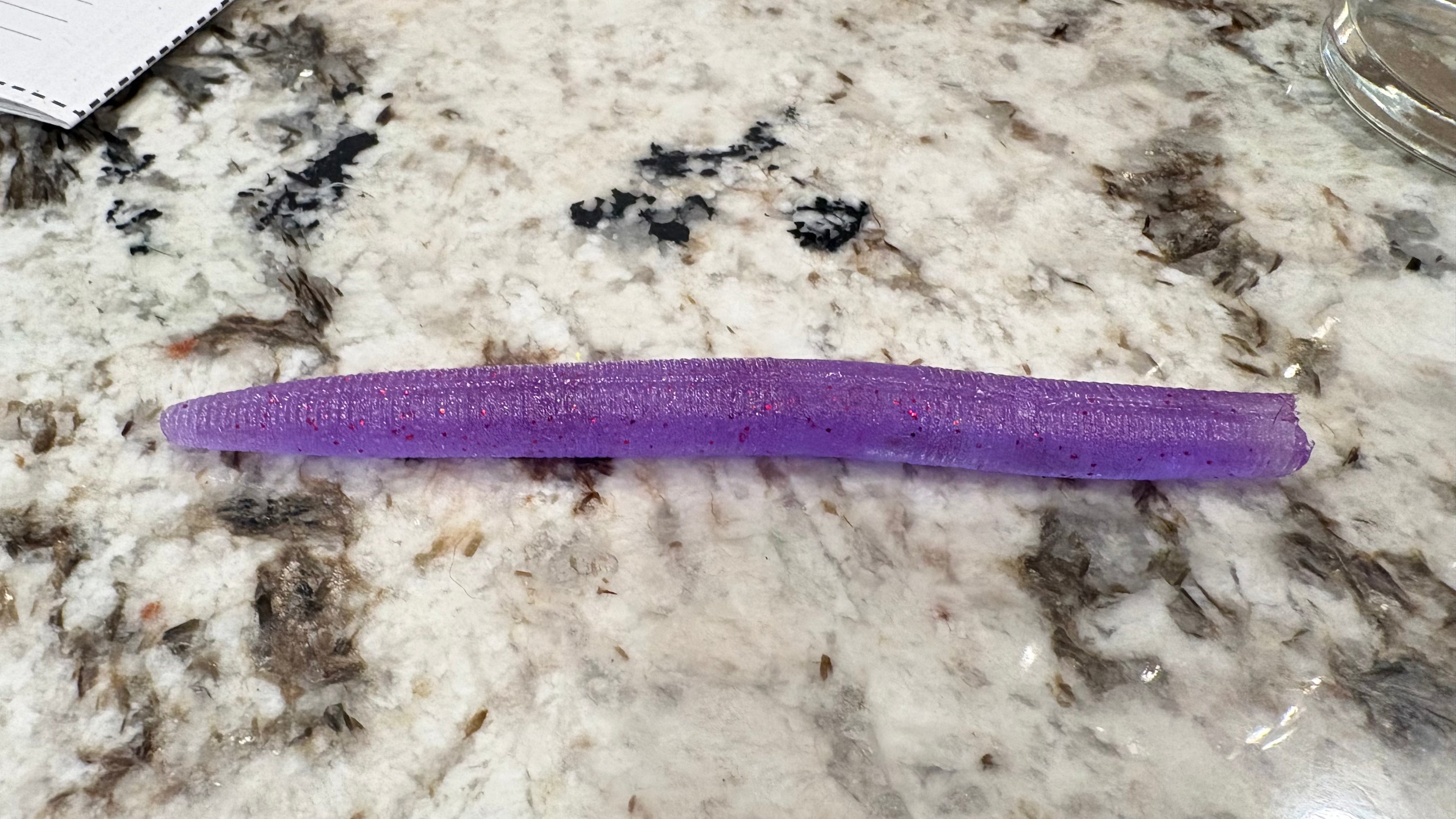 5" Stick Worm (8 Pack)